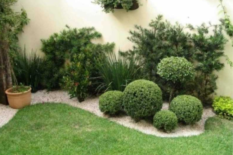 Jardim Pequeno na Frente de Casas