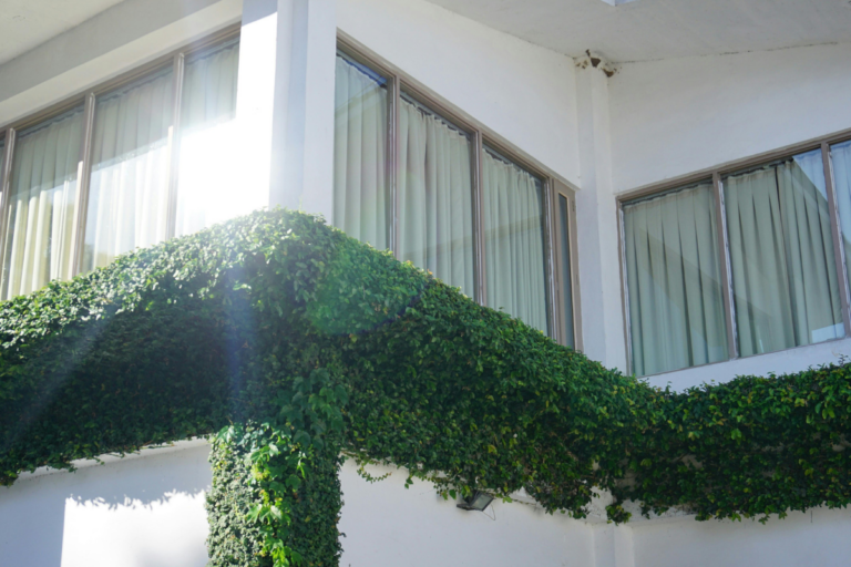 Jardim Vertical A Solução